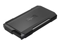 SanDisk Professional PRO-BLADE TRANSPORT - SSD - 1 TB - extern (tragbar) - USB 3.2 Gen 2x2 (USB-C Steckverbinder)