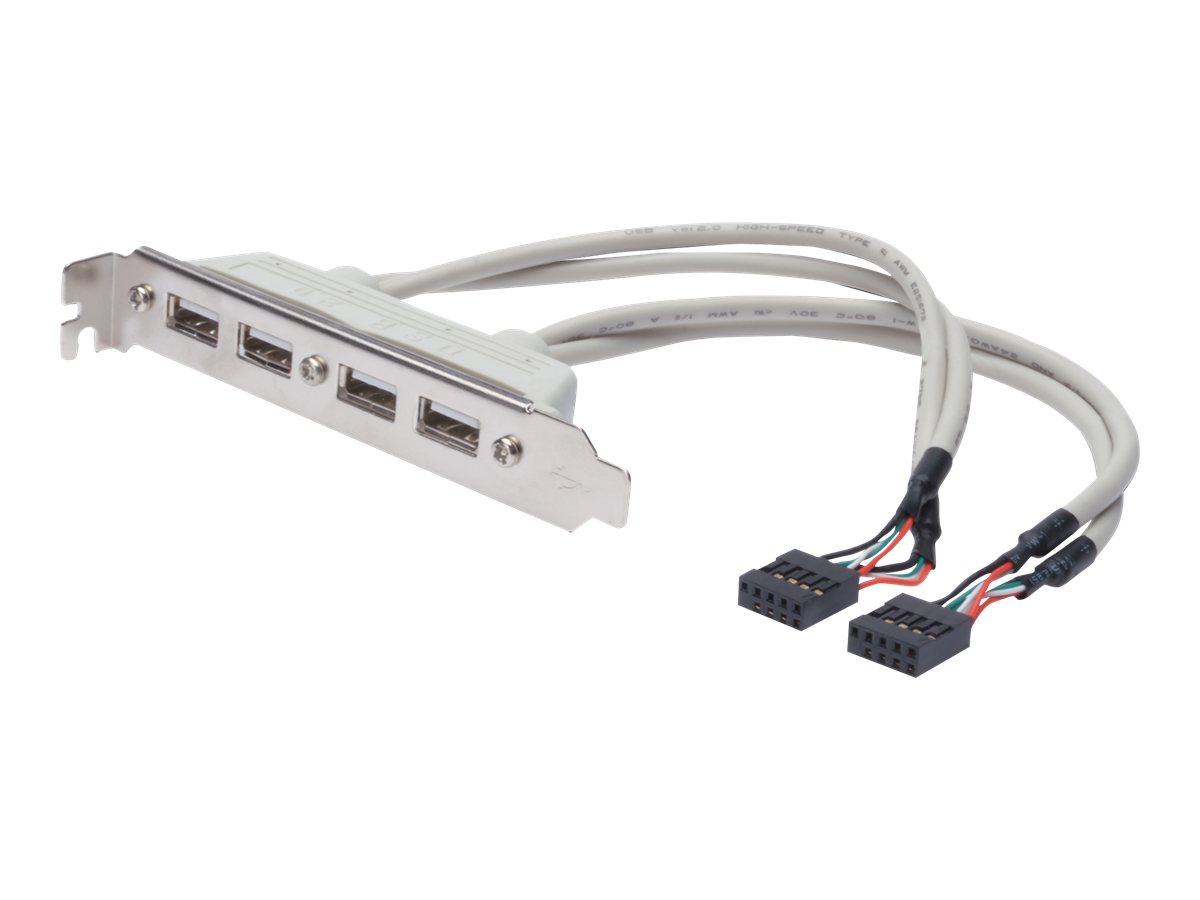 ASSMANN - USB-Konsole - 10 PIN IDC (W) zu USB (W) - 25 cm - geformt - beige