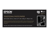 Epson Traditional Photo Paper - Rolle (43,2 cm x 15 m) - 300 g/m - Fotopapier - fr SureColor P5000, P800, SC-P10000, P20000, P