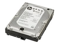 HP - Festplatte - 4 TB - intern - 3.5