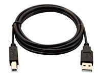 V7 - USB-Kabel - USB (M) zu USB Typ B (M) - USB 2.0 - 2 m
