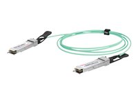 DIGITUS - 100GBase Direktanschlusskabel - QSFP28 zu QSFP28 - 10 m - Glasfaser - Duplex