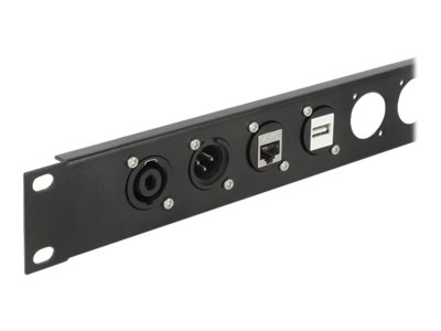 DeLOCK D-Type Module USB 2.0 Type-A female to female - Modulares Faceplate-Snap-In - an Schalttafel montierbar - USB 2.0 Type A 
