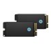 Apple SSD Kit - SSD - 2 TB - intern (Packung mit 2) - fr Mac Pro (Ende 2019)