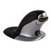 Fellowes Penguin Large - Vertikale Maus - rechts- und linkshndig - Laser - kabellos - 2.4 GHz