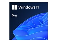 Windows 11 Pro - Lizenz - 1 Lizenz - ESD - 64-bit, National Retail - alle Sprachen