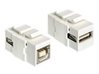 DeLOCK - Modularer Einschub (Kopplung) - USB-Typ B, USB Type A
