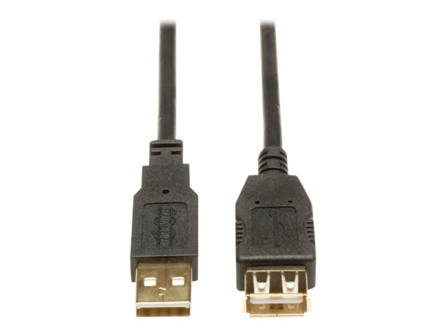 Eaton Tripp Lite Series USB 2.0 Extension Cable (A M/F) 16 ft. (4.88 m) - USB-Verlngerungskabel - USB (W) zu USB (M) - 4.88 m -