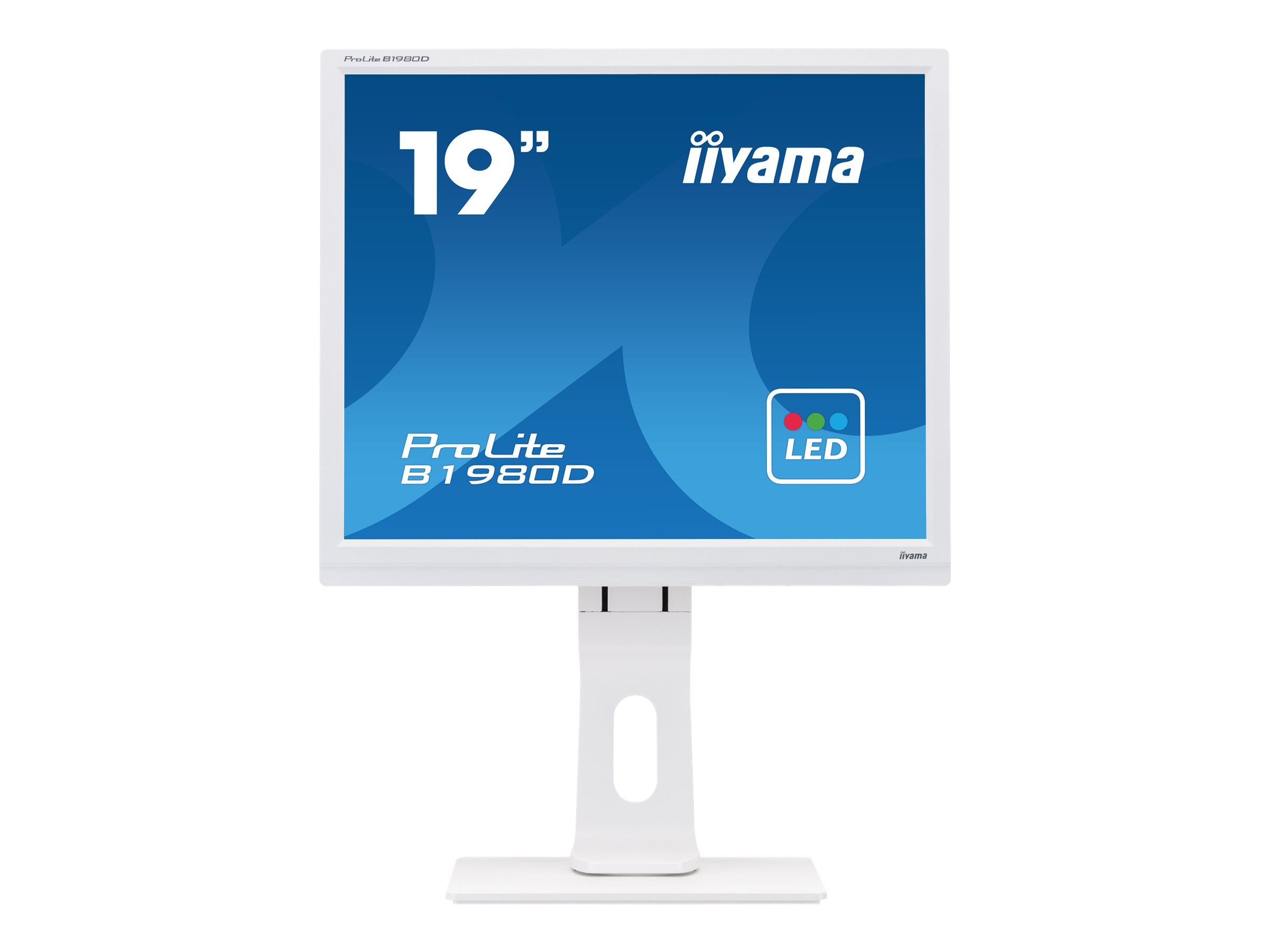 iiyama ProLite B1980D-W1 - LED-Monitor - 48 cm (19