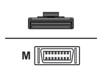 Quantum - Externes SAS-Kabel - 4x Shielded Mini MultiLane SAS (SFF-8088), 26-polig (M) zu 4 x InfiniBand (M) - 3 m