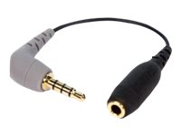 RDE SC4 - Mikrofon-Adapter - Mini-Stecker weiblich zu 4-poliger Mini-Stecker mnnlich - abgeschirmt - fr RDE VideoMicro II