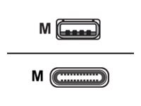 Cisco - USB-Kabel - USB (M) zu 24 pin USB-C (M) - 4 m - fr Webex Room Kit Mini