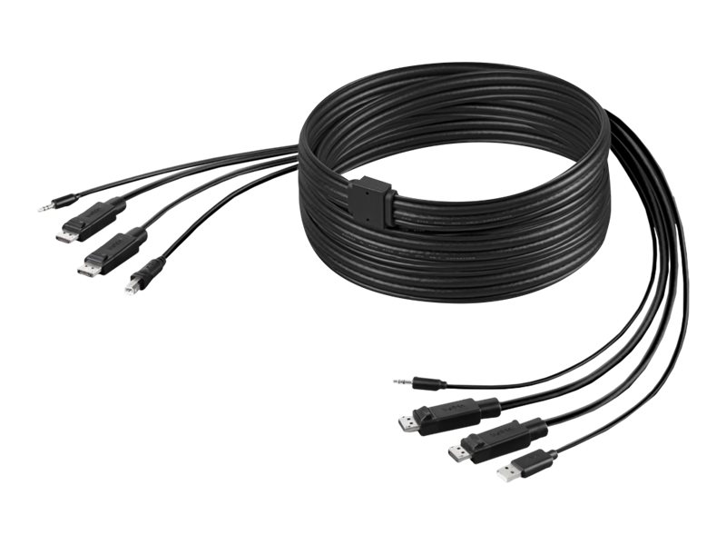 Belkin Secure KVM Combo Cable - Tastatur- / Video- / Maus- / Audio-Kabel - TAA-konform - USB, Mini-Stecker, DisplayPort (M) zu m