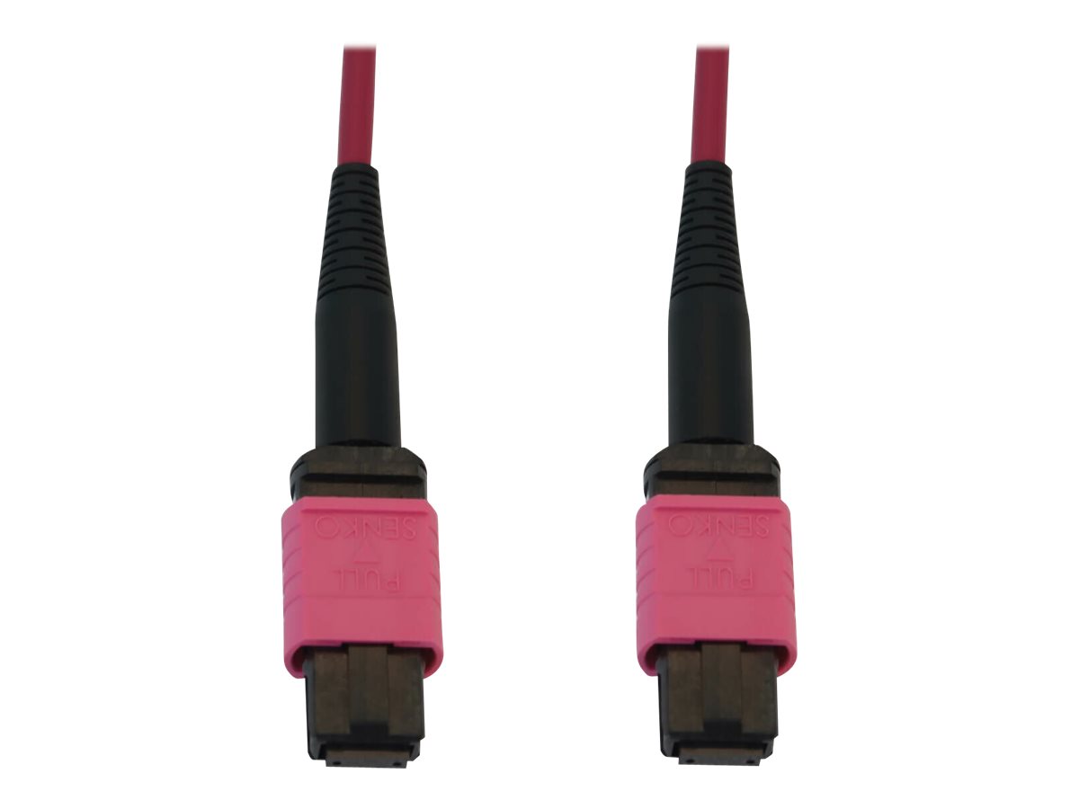 Eaton Tripp Lite Series 100G Multimode 50/125 OM4 Fiber Optic Cable (12F MTP/MPO-PC F/F), LSZH, Magenta, 1 m (3.3 ft.) - Netzwer
