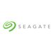 Seagate IronWolf Pro ST12000NE0008 - Festplatte - 12 TB - intern - 3.5