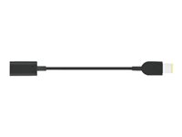 Lenovo USB-C to Slim-tip Cable Adapter - Adapter fr Power Connector - 24 pin USB-C weiblich zu Stromversorgung mnnlich