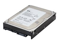 HP - Festplatte - 600 GB - intern - SAS - 15000 rpm