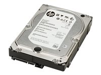 HP Enterprise - Festplatte - 6 TB - SATA - 7200 rpm - fr Workstation Z2 G4, Z2 G5