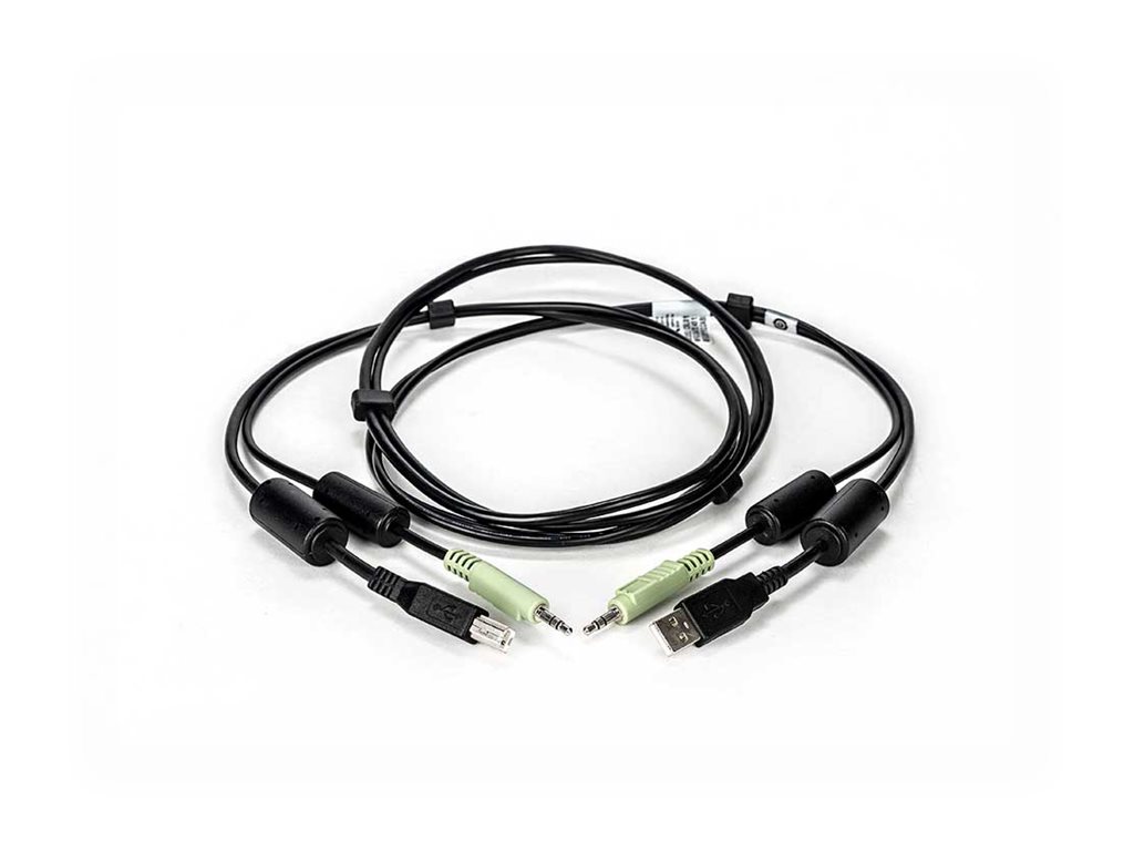 Cybex - USB- / Audiokabel - Stereo Mini-Klinkenstecker, USB Typ B (M) zu USB, Stereo Mini-Klinkenstecker (M) - 1.83 m - für Cybe