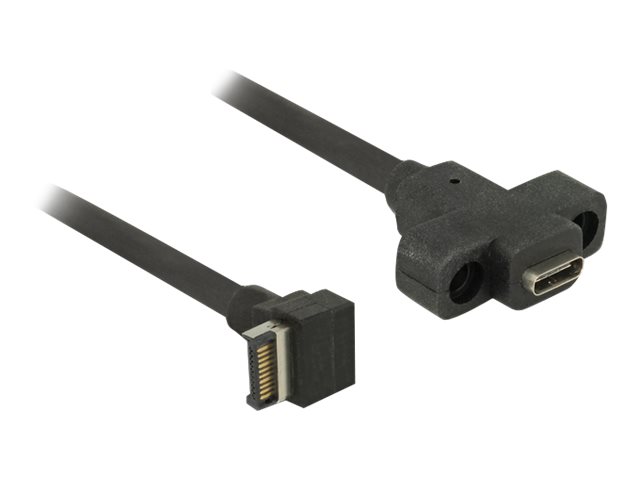 Delock - USB-Kabel intern auf extern - 20-poliger USB 3.0 Kopf (M) gewinkelt zu 24 pin USB-C (W) Paneel montierbar - 45 cm