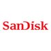 SanDisk AF3 - Flash-Speicherkarte - 32 GB - SD - fr ThinkSystem ST50