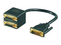M-CAB - DVI-Splitter - Dual Link - DVI-D (M) zu DVI-D (M) - 20 cm - geformt, Daumenschrauben