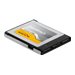 DeLOCK - Flash-Speicherkarte - 256 GB - CFexpress