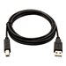 V7 - USB-Kabel - USB (M) zu USB Typ B (M) - USB 2.0 - 2 m