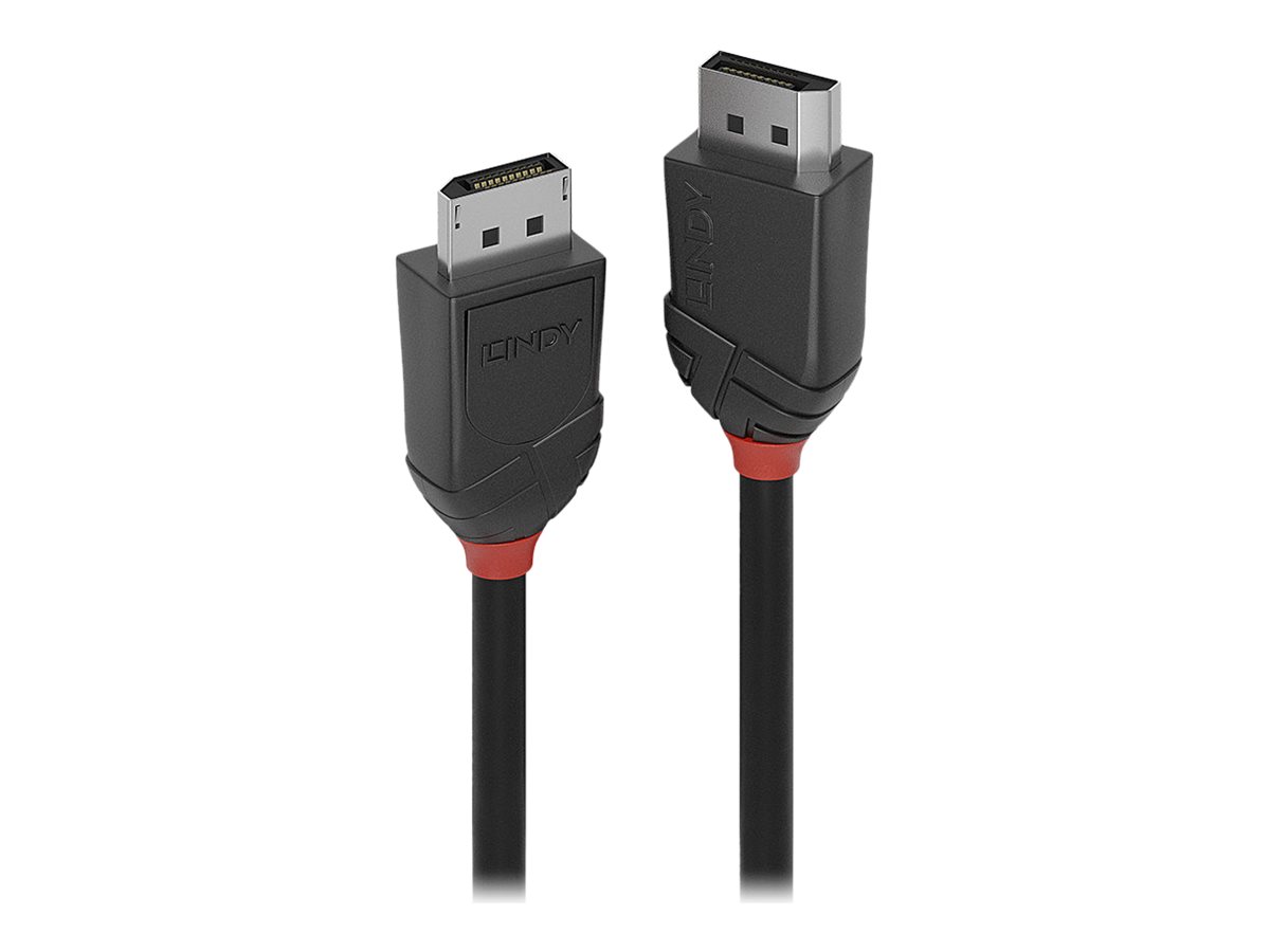 Lindy Black Line - DisplayPort-Kabel - DisplayPort (M) zu DisplayPort (M) - DisplayPort 1.2 - 50 cm - Schwarz