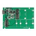 DeLOCK - Speichergehuse - M.2 Card / mSATA - USB 3.1 (Gen 2)