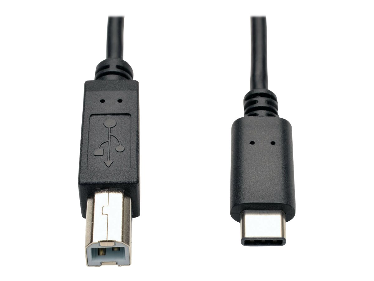 Eaton Tripp Lite Series USB-C to USB-B Cable - USB 2.0, (M/M), 6 ft. (1.83 m) - USB-Kabel - 24 pin USB-C (M) zu USB Typ B (M) - 