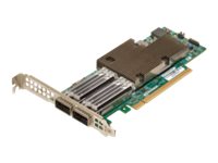 Broadcom NetXtreme E-Series P2100G - Netzwerkadapter - PCIe 4.0 x16 Low-Profile - 100 Gigabit QSFP56 x 2