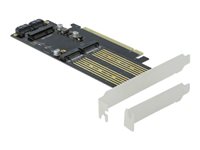 DeLOCK - Speicher-Controller - mSATA, M.2 - M.2 Card / mSATA Low-Profile - SATA 6Gb/s, PCIe 4.0 x16