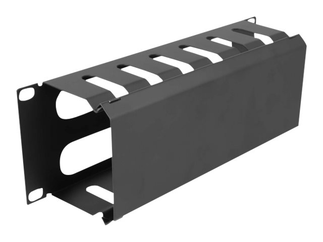 Delock - Verlegetafel für Rack-Kabelmanagement - mit 2 Öffnungen - Schwarz - 1U - 25.4 cm (10