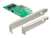 DeLOCK PCI Express Card > 1 x internal M.2 NGFF - Speicher-Controller - 1 Sender/Kanal - M.2 Card - PCIe 3.0 x4