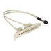 Delock - USB-Konsole - 10-poliger USB-Header (M) zu USB (W) - 30 cm