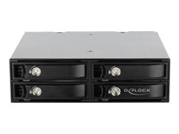 Delock - Mobiles Speicher-Rack - 2.5