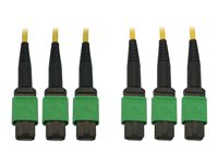 Eaton Tripp Lite Series 40/100G Singlemode 9/125 OS2 Fiber Optic Cable (3x8F MTP/MPO-APC F/F), LSZH, Yellow, 23 m (75 ft.) - Net