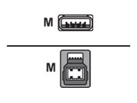 Roline Gold - USB-Kabel - USB Typ A (M) zu USB Type B (M) - USB 3.0 - 3 m