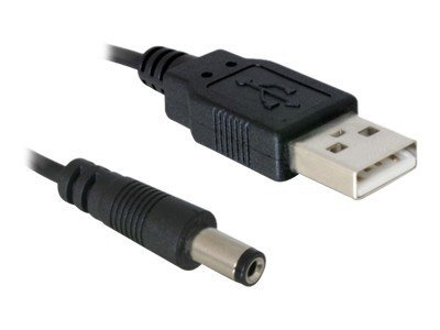 Delock - Stromkabel - GS-Buchse 5,4 mm (M) zu USB (M) - 1 m