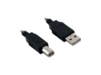 V7 - USB-Kabel - USB (M) zu USB Typ B (M) - 5 m - Schwarz