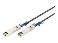 DIGITUS - 25GBase Direktanschlusskabel - SFP28 (M) zu SFP28 (M) - 5 m - abgeschirmtes Twinaxial - SFF-8432