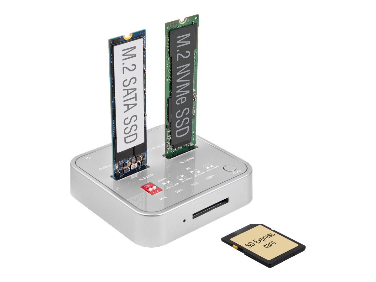 Delock - SSD-Dockingstation Schächte: 2 - M.2 - M.2 NVMe Card - USB 3.2 (Gen 2) - Silber