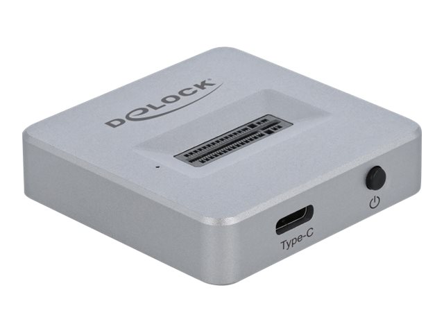 DeLOCK M.2 Docking Station - Schnittstellenadapter - M.2 NVMe Card - USB 3.2 (Gen 2) - Silber