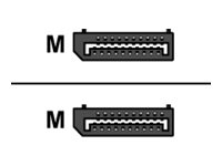 HDGear - DisplayPort-Kabel - DisplayPort (M) zu DisplayPort (M) - 2 m - geformt