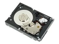 Dell - Festplatte - 3 TB - intern - 3.5