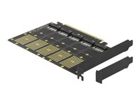 DeLOCK PCI Express x16 Card to 5 x internal M.2 Key B / SATA - Speicher-Controller - M.2 - M.2 Card Low-Profile - 6 Gbit/s - PCI
