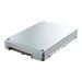 Solidigm D7 Series D7-P5620 - SSD - 3.2 TB - intern - 2.5