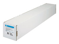 HP Professional Satin Photo Paper - Seidig - 11,4 mil - Rolle (111,8 cm x 15,2 m) 1 Rolle(n) Fotopapier - fr DesignJet Z2100, Z