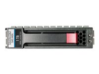 HPE Dual Port Midline - Festplatte - 1 TB - Hot-Swap - 3.5
